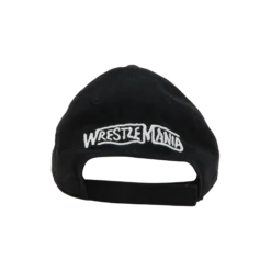 Alternative view of CJ X WWE LOGO HAT